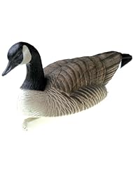 Canada Goose Jackets Online Sale